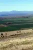 Private day tour from Sunny beach to Kazanlak, the Valley of the Thracian Kings, Shipka monument and Shipka memorial church